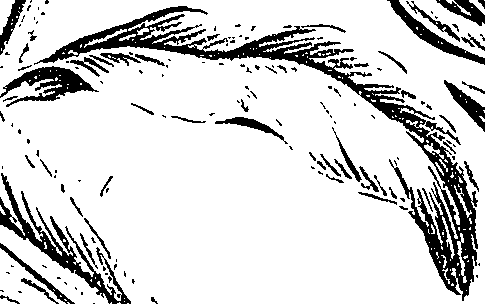 099/099310010700770_1.png
