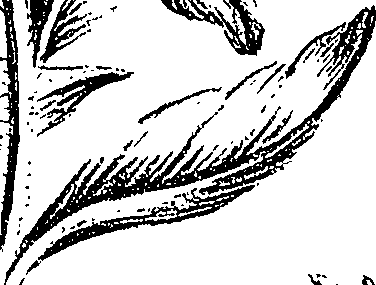 099/099310010700770_2.png