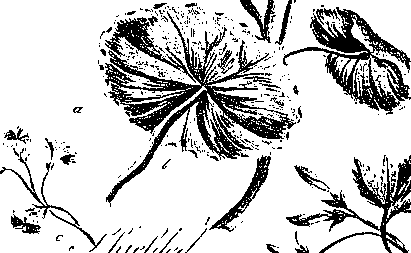 099/099310010700790_1.png