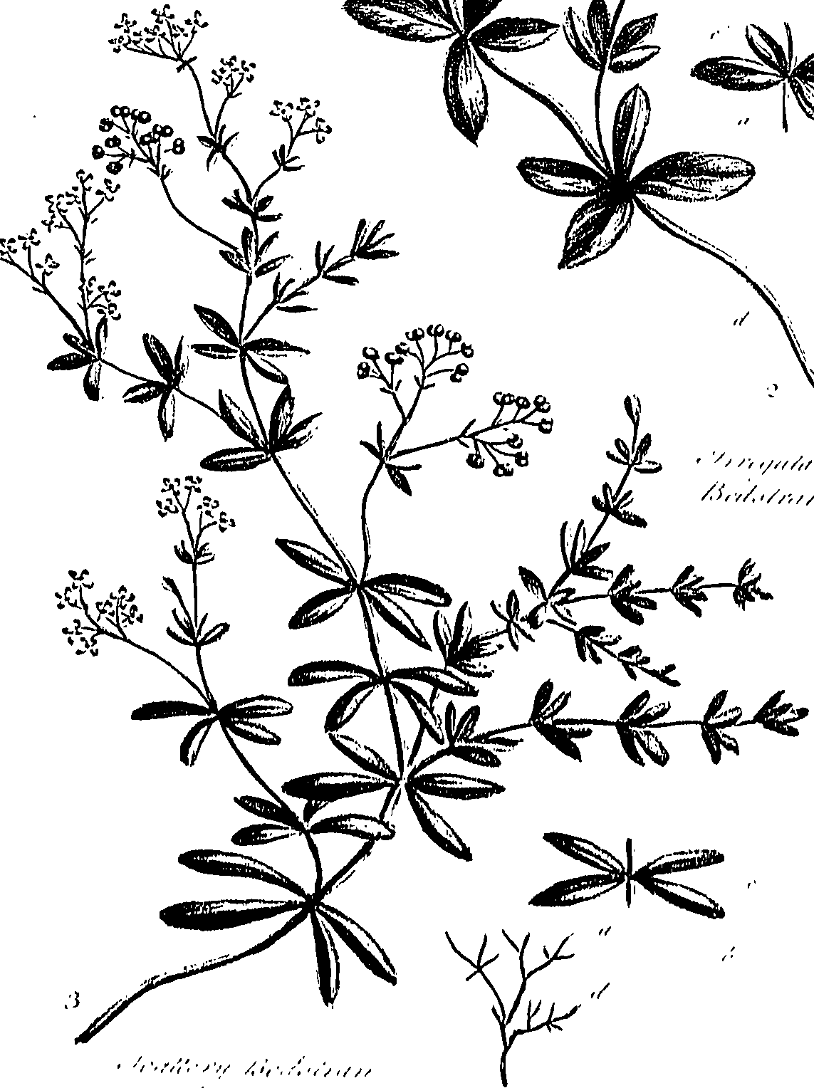 099/099310010700840_0.png