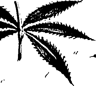 099/099310010700850_0.png
