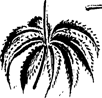 099/099310010700860_0.png