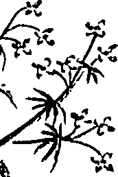 099/099310010700860_1.png