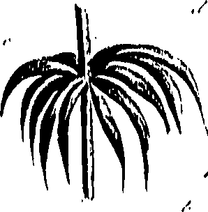 099/099310010700870_0.png