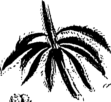 099/099310010700890_0.png