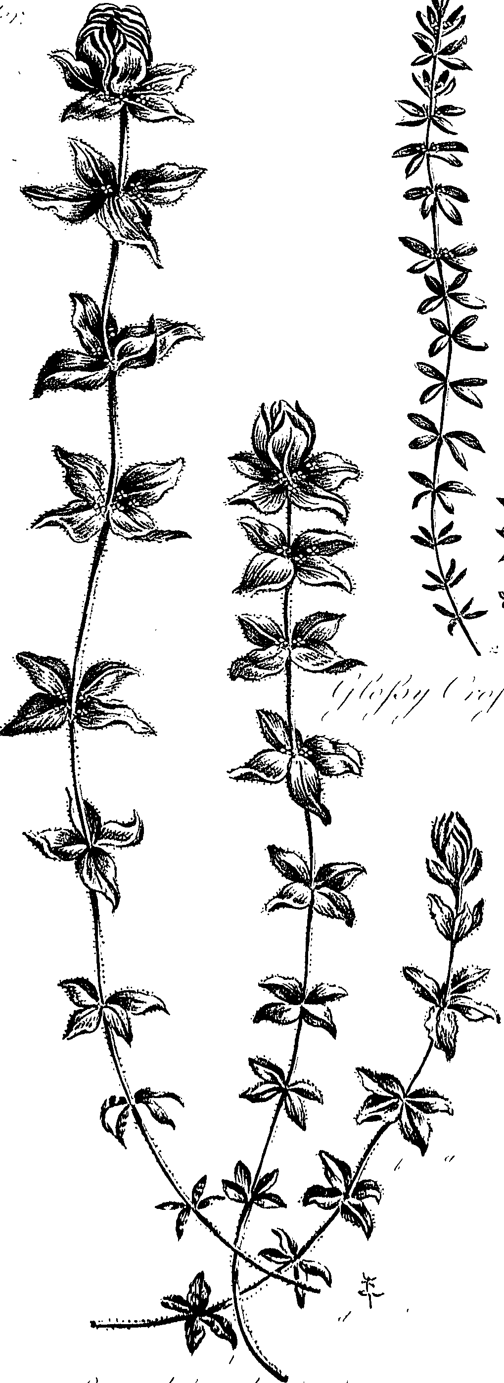099/099310010700900_0.png
