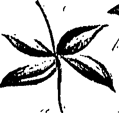 099/099310010700910_0.png