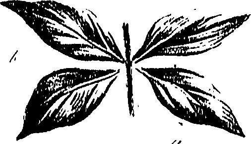 099/099310010700920_0.png
