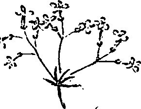 099/099310010700930_0.png