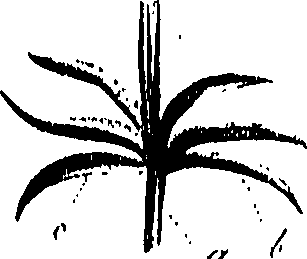 099/099310010700950_0.png