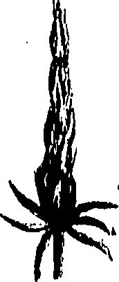 099/099310010700950_1.png