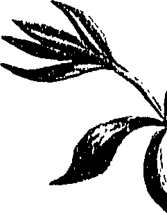 099/099310010700950_2.png