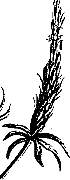 099/099310010700950_3.png
