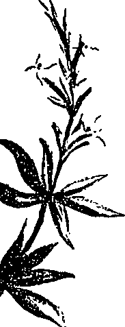 099/099310010700960_0.png