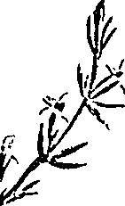 099/099310010700960_1.png