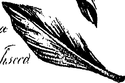 099/099310010700970_0.png