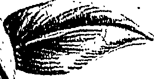 099/099310010700970_1.png