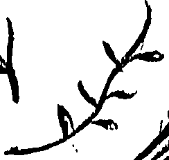 099/099310010701000_0.png