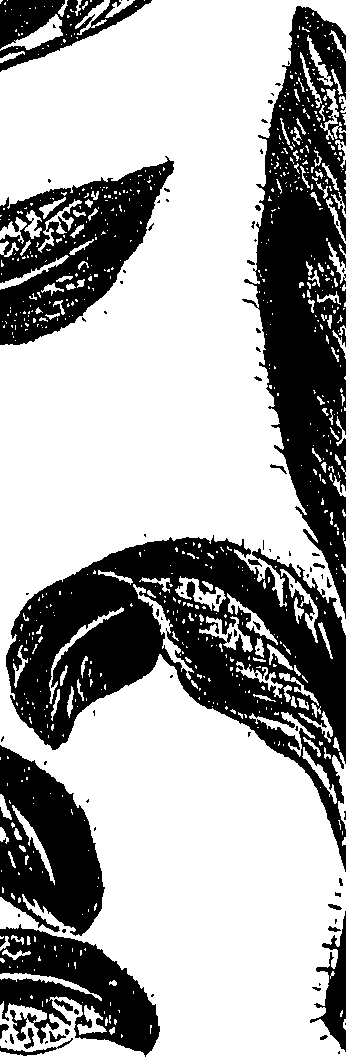 099/099310010701000_1.png