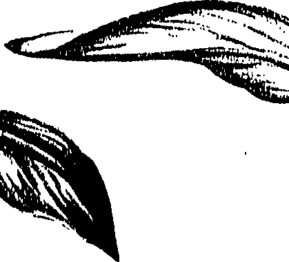 099/099310010701010_0.png