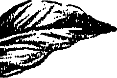 099/099310010701010_1.png