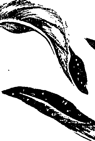 099/099310010701020_1.png