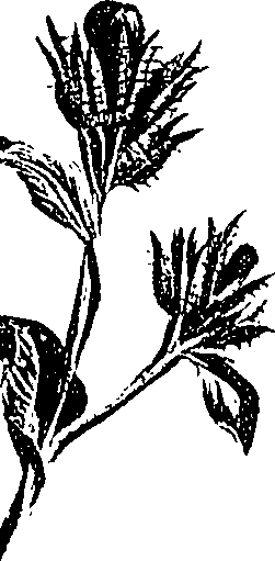 099/099310010701020_2.png