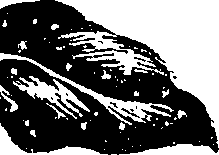 099/099310010701020_3.png