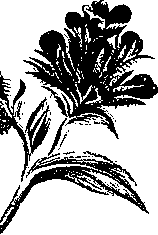 099/099310010701020_4.png