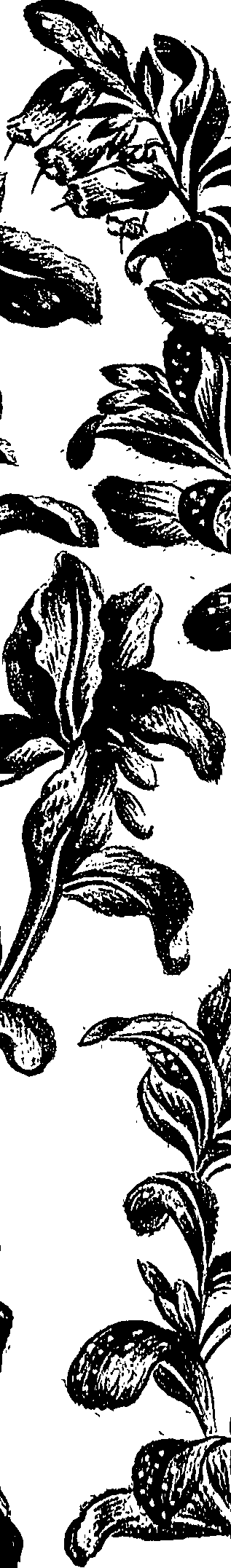 099/099310010701040_0.png