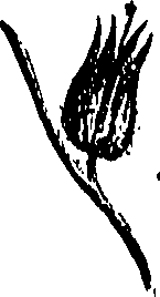 099/099310010701050_0.png