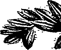 099/099310010701060_1.png
