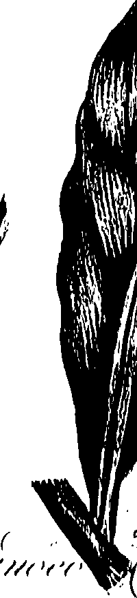 099/099310010701070_0.png