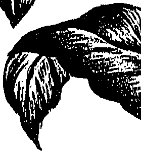 099/099310010701070_1.png