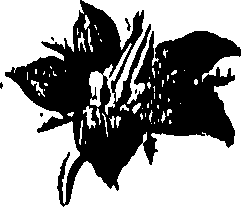 099/099310010701080_0.png