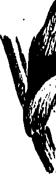099/099310010701110_0.png