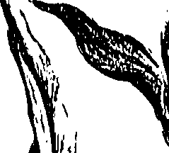 099/099310010701110_1.png