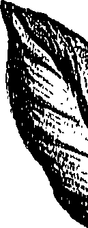 099/099310010701110_2.png