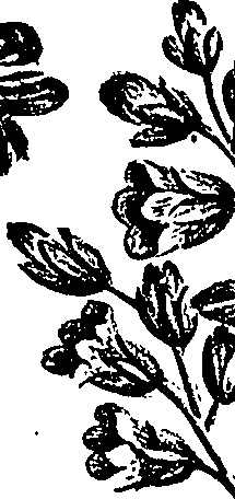 099/099310010701110_4.png