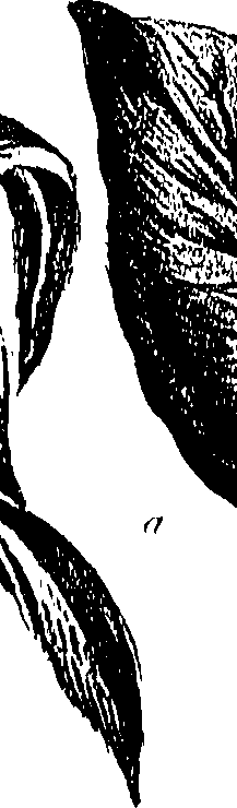 099/099310010701120_0.png