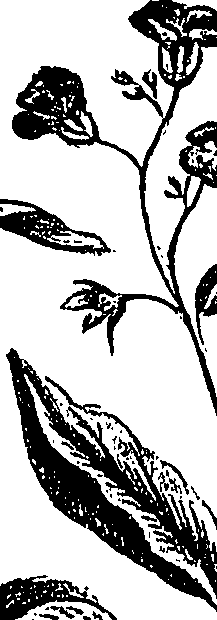 099/099310010701120_1.png
