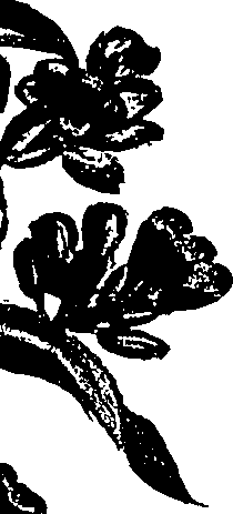 099/099310010701120_2.png