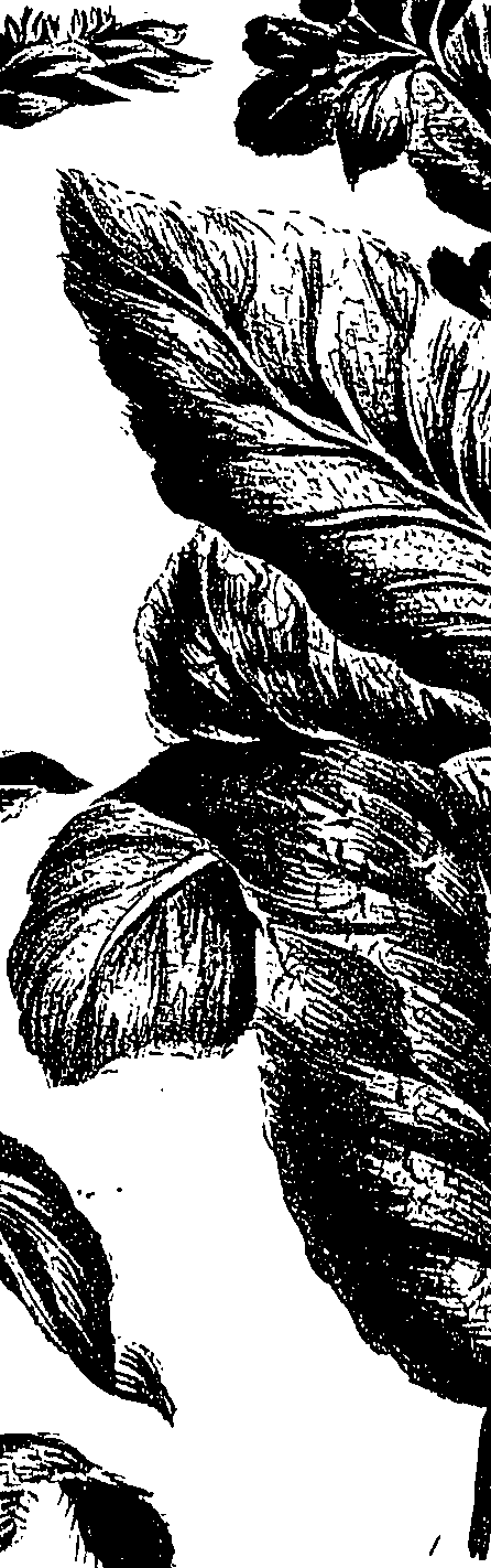 099/099310010701130_0.png