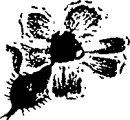 099/099310010701130_1.png