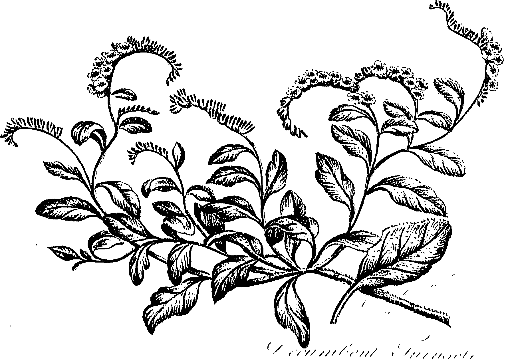 099/099310010701160_0.png