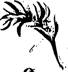 099/099310010701180_0.png