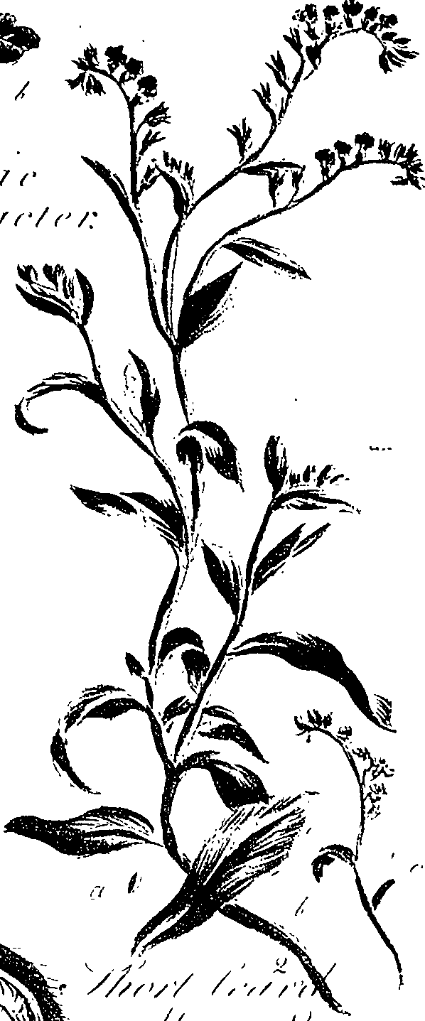 099/099310010701180_1.png