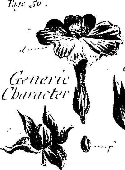 099/099310010701190_1.png