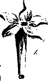 099/099310010701210_0.png