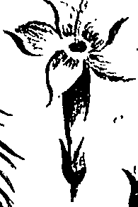 099/099310010701210_1.png